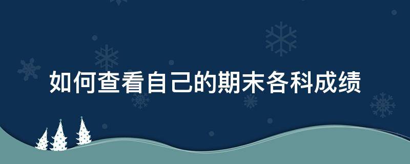 如何查看自己的期末各科成绩（如何查自己的期末成绩单）