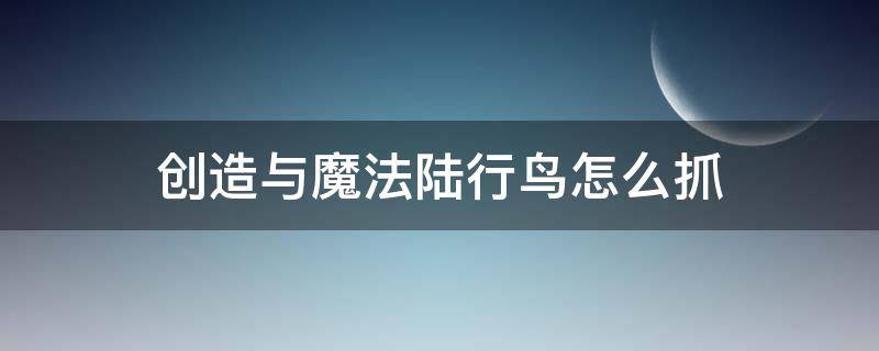 創(chuàng)造與魔法陸行鳥怎么抓 創(chuàng)造與魔法陸行鳥怎么抓家園寵物