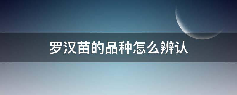 羅漢苗的品種怎么辨認 羅漢苗怎么挑選