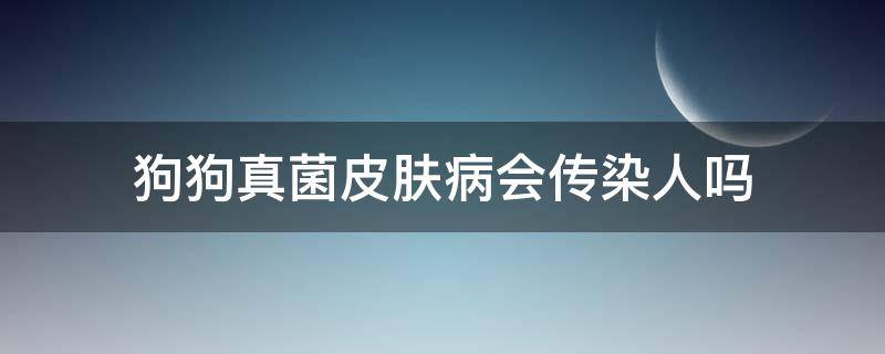 狗狗真菌皮膚病會傳染人嗎（狗狗皮膚真菌感染傳染人嗎）