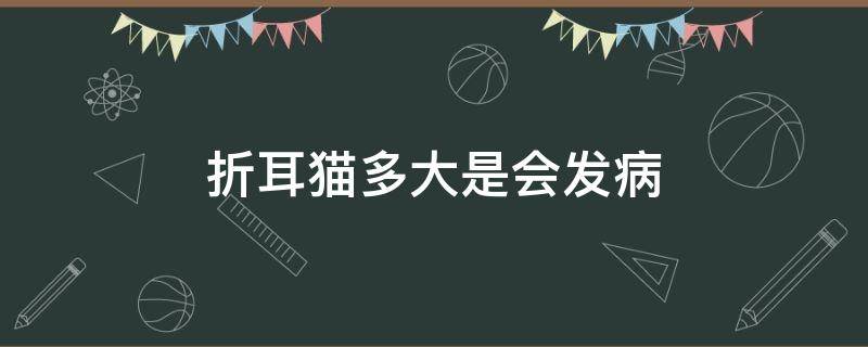 折耳猫多大是会发病 折耳猫的发病年龄