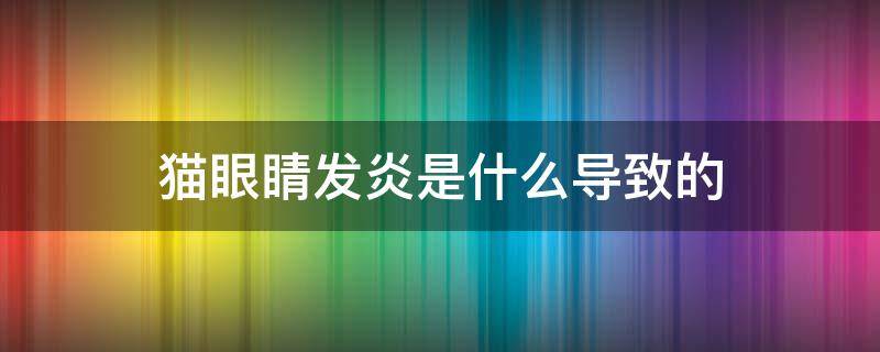 貓眼睛發(fā)炎是什么導(dǎo)致的 貓貓眼睛發(fā)炎的原因