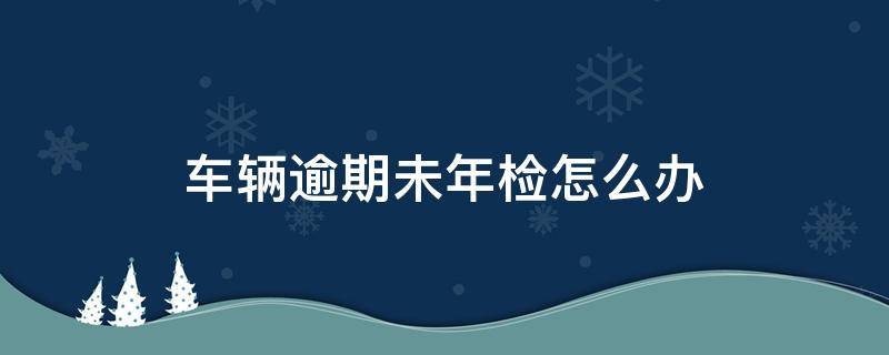 车辆逾期未年检怎么办 法院拍卖车辆逾期未年检怎么办