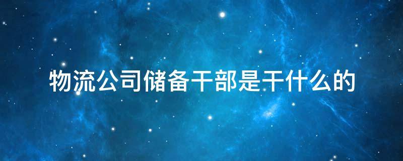 物流公司储备干部是干什么的 物流的储备干部是什么职位