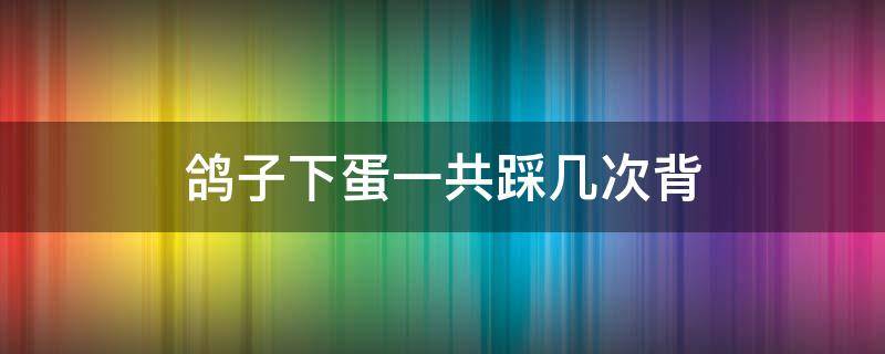 鸽子下蛋一共踩几次背 鸽子从踩背到下蛋要多长时间