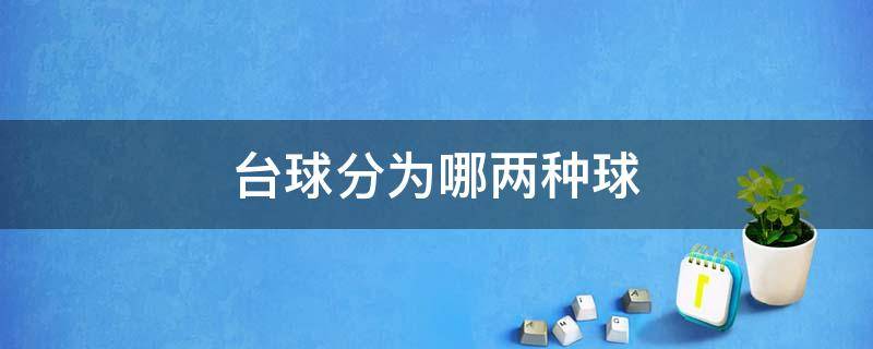 臺球分為哪兩種球 臺球有哪兩種球