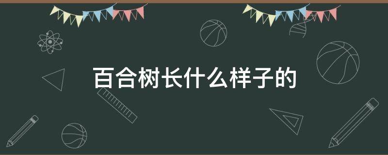 百合树长什么样子的 百合是树上长的吗