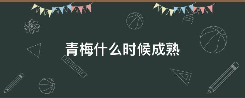 青梅什么时候成熟 苏州青梅什么时候成熟