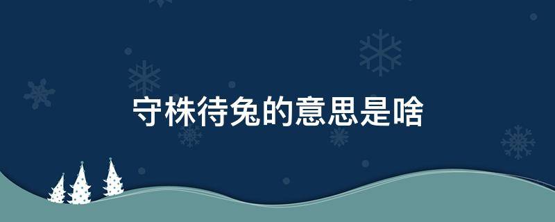 守株待兔的意思是啥（守株待兔的意思是啥意思）