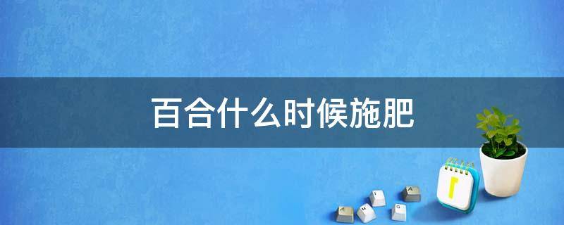 百合什么時候施肥（百合什么時候上肥料）