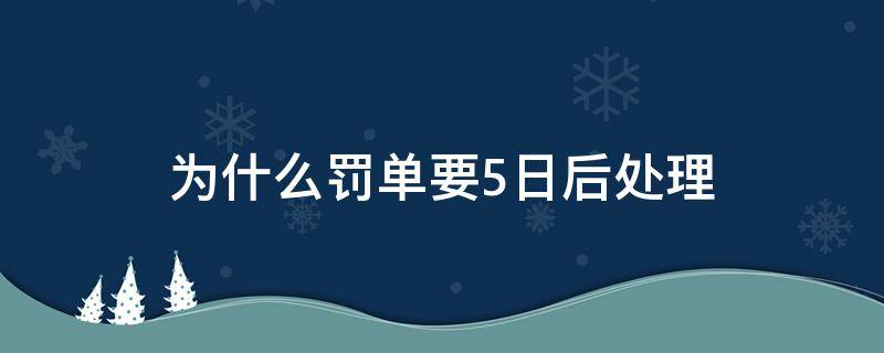 为什么罚单要5日后处理 罚单五日后处理