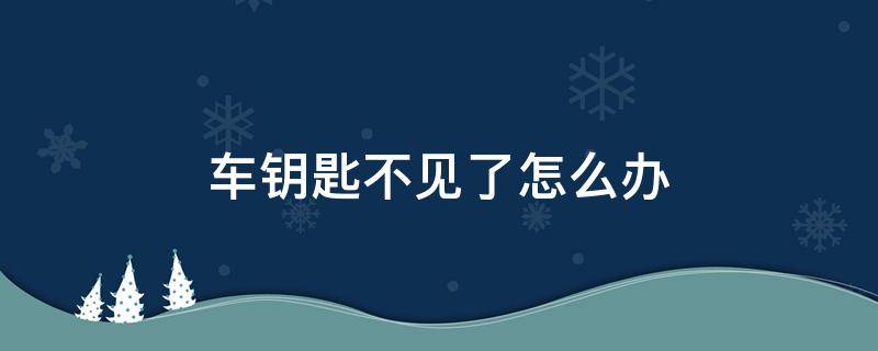 车钥匙不见了怎么办（本田汽车钥匙不见了怎么办）