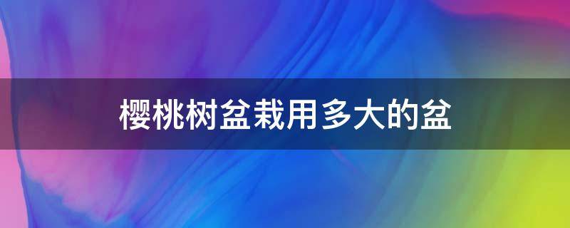 樱桃树盆栽用多大的盆 樱桃树需要多大的花盆