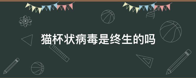 猫杯状病毒是终生的吗 猫杯状病毒为什么终身携带