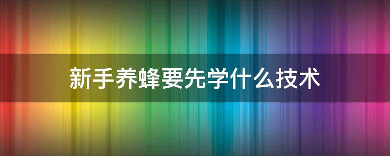 新手养蜂要先学什么技术（新手养蜂要先学什么技术防逃走图片）