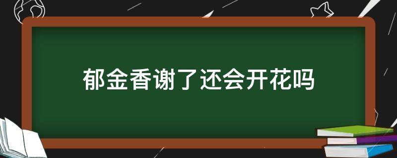 郁金香谢了还会开花吗（郁金香花开完还会再开吗）