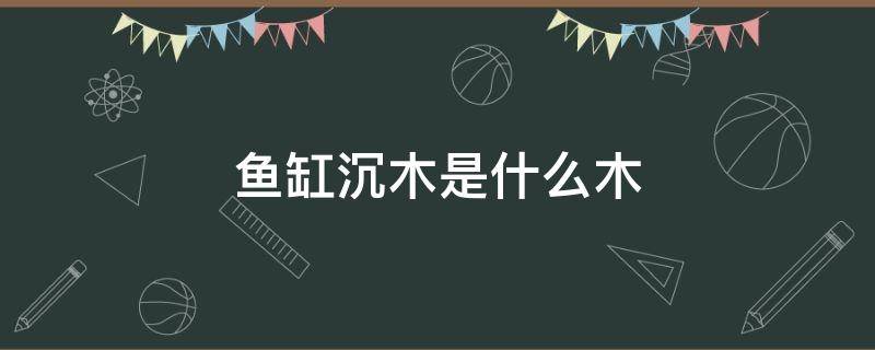 鱼缸沉木是什么木 鱼缸水沉木是什么木头