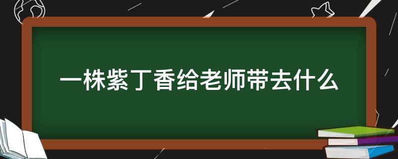 一株紫丁香给老师带去什么 一株紫丁香是写给老师的事吗