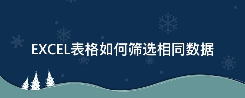 EXCEL表格如何筛选相同数据（excel表格怎样筛选相同的数据）