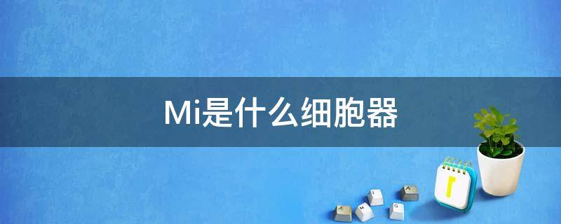 Mi是什么细胞器（mid中间细胞数目）