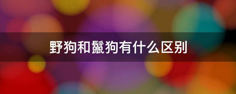 野狗和鬣狗有什么区别（野狗和鬣狗有什么区别谁厉害）