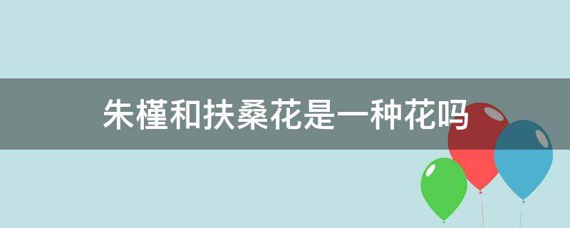 朱槿和扶桑花是一種花嗎 朱槿花就是扶?；▎?></p>
      <p></p>                                     <p>朱槿和扶?；ㄊ峭环N花朵，只不過每個(gè)人叫它們的名字不同，這兩個(gè)名字指的是同一種植物，其中朱槿是它的學(xué)名，扶?；ㄊ莿e名。它是一種多年生的常綠灌木，喜歡生長在溫暖的環(huán)境中，耐寒能力不是很強(qiáng)，平時(shí)在養(yǎng)護(hù)的時(shí)候需要保證光照的充足，冬季需要提前搬到室內(nèi)過冬，避免凍傷植株。</p>                                     </p>    </div>
    
   <div   id=