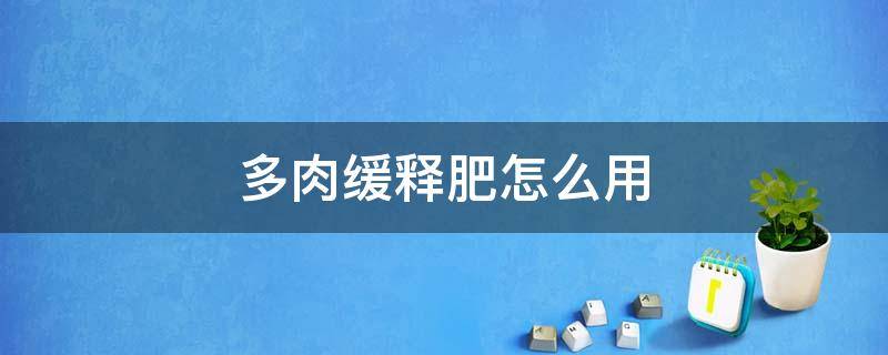 多肉缓释肥怎么用 多肉的缓释肥怎么用