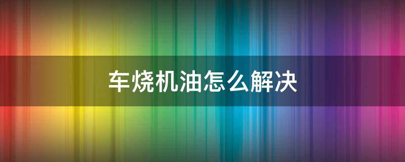 车烧机油怎么解决（宝马车烧机油怎么解决）