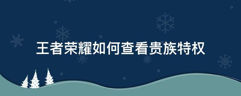 王者荣耀如何查看贵族特权 怎么看王者的贵族