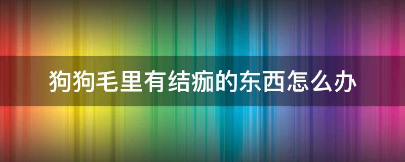 狗狗毛里有结痂的东西怎么办（狗狗毛里有黑色结痂的东西怎么办）