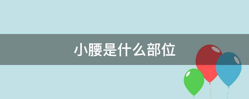 小腰是什么部位（小腰是哪个部位）