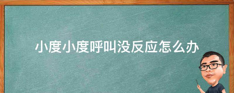 小度小度呼叫没反应怎么办 呼叫小度为什么没有反应