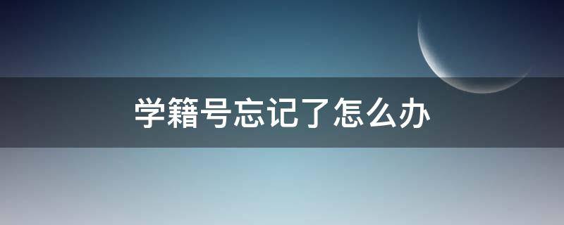 学籍号忘记了怎么办（记不住学籍号怎么办?）