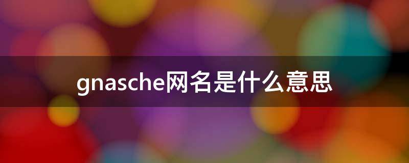 gnasche网名是什么意思（网名:Gnasche）