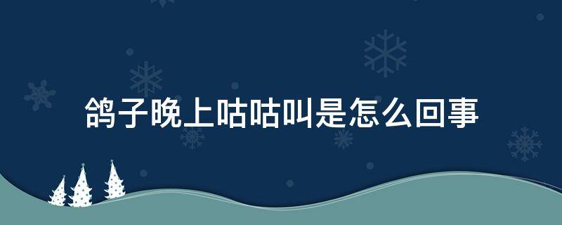 鸽子晚上咕咕叫是怎么回事 鸽子晚上咕咕叫什么原因