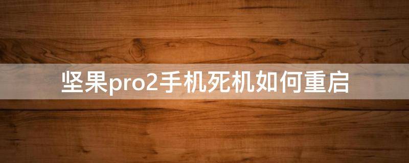 堅(jiān)果pro2手機(jī)死機(jī)如何重啟（堅(jiān)果pro2死機(jī)無(wú)法關(guān)機(jī)）