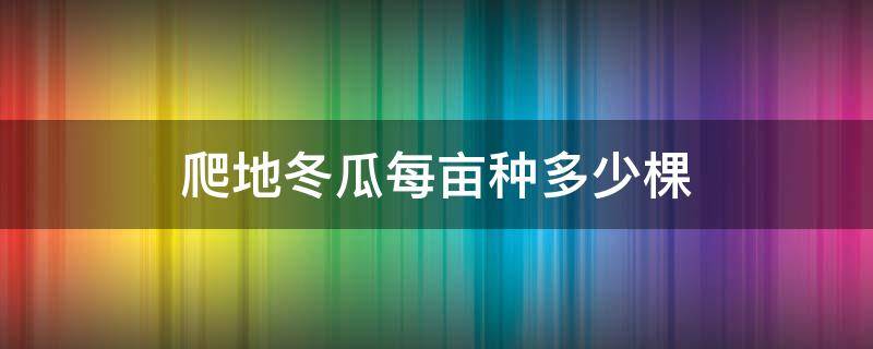 爬地冬瓜每畝種多少棵 地爬冬瓜每畝地最多能栽多少棵