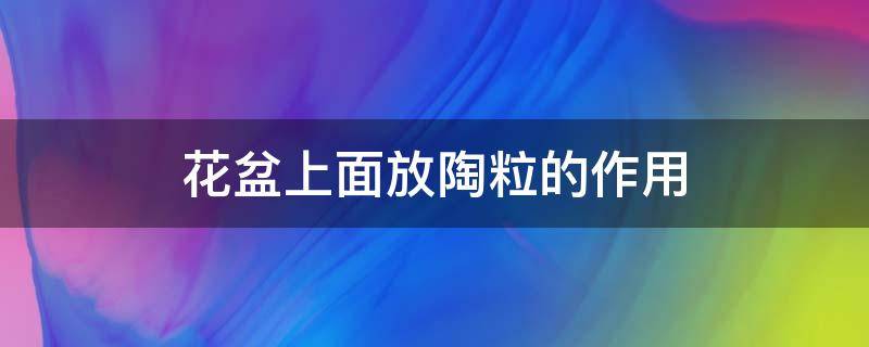 花盆上面放陶粒的作用（陶颗粒可以放花盆上吗）