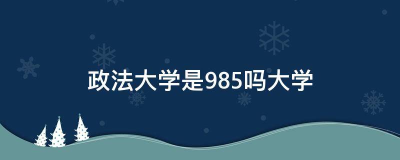 政法大学是985吗大学（政法大学哪个是985）