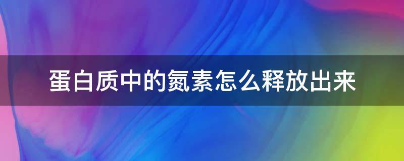 蛋白质中的氮素怎么释放出来 氮在蛋白质中的作用