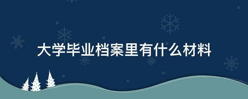 大学毕业档案里有什么材料（大学毕业档案里面都有什么材料）