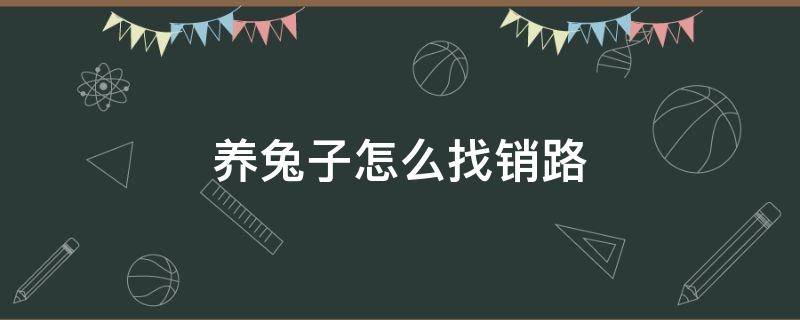 養(yǎng)兔子怎么找銷路（養(yǎng)兔子怎么找銷路家中手工活一千元以下）