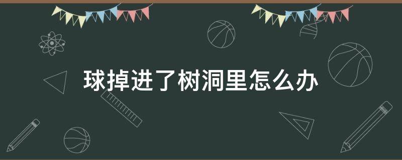 球掉进了树洞里怎么办 球落到树洞里怎么办