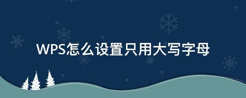 WPS怎么设置只用大写字母 wps怎么设置开头字母不大写