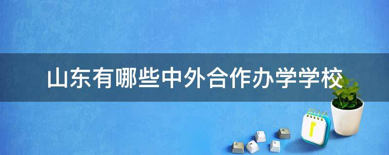 山东有哪些中外合作办学学校（山东省中外合作办学有哪些学校）