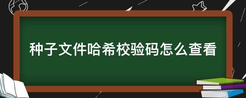 种子文件哈希校验码怎么查看（哈希校验码）