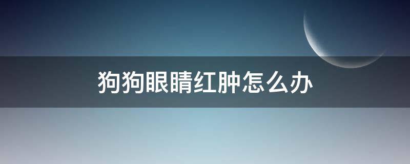 狗狗眼睛红肿怎么办 狗狗眼睛红肿怎么办吃什么药