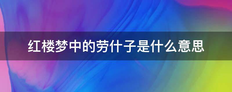 红楼梦中的劳什子是什么意思（林黛玉进贾府劳什子的意思）