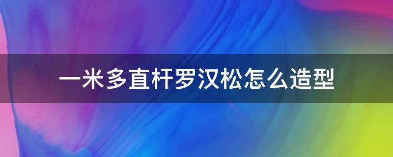 一米多直杆罗汉松怎么造型 主干直的罗汉松造型方法