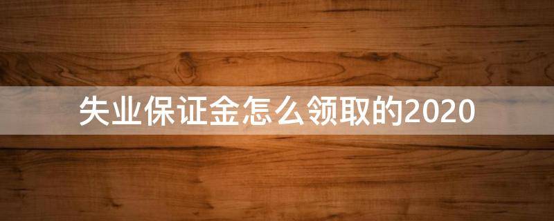 失业保证金怎么领取的2020（2020年失业保证金怎么领取）